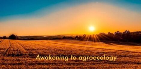 Awakening to Agroecology Image